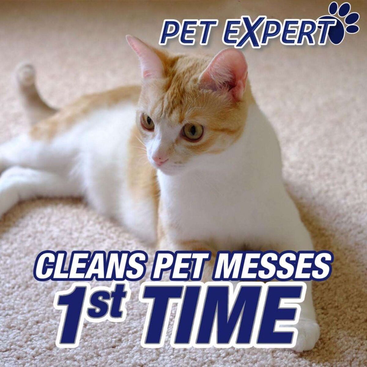 Resolve Pet Expert HighPerformance FastActing Stain and Odor Remover